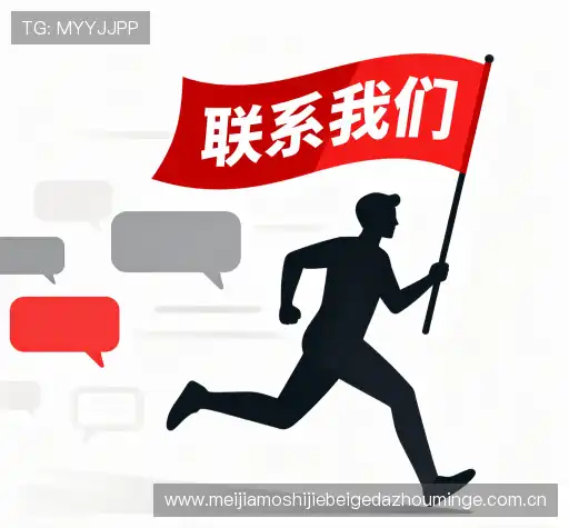 项目咨询